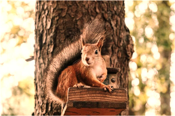 夢到了去世奶奶租房子住是好事還是壞事_周公解夢官網