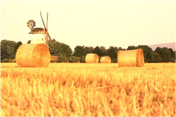 夢到自己的小弟是什麼預兆_周公解夢官網