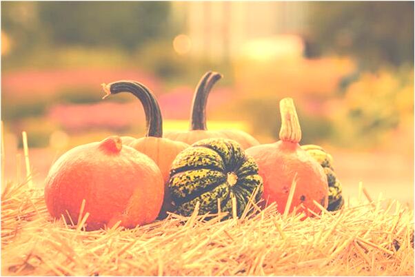 夢到了自己身上發光預示什麼_周公解夢官網