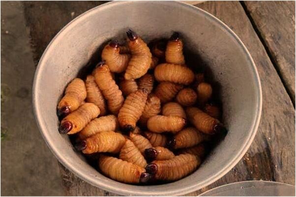 夢到了和已故的丈夫打架會有什麼預兆_周公解夢官網