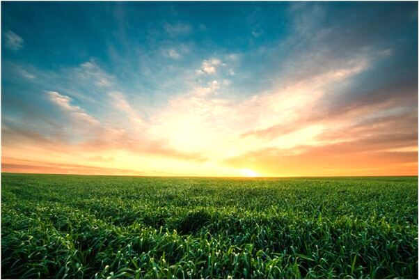 夢到了天上掉畫筆怎么回事_周公解夢官網