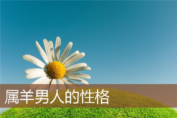 屬羊男人的性格_十二生肖