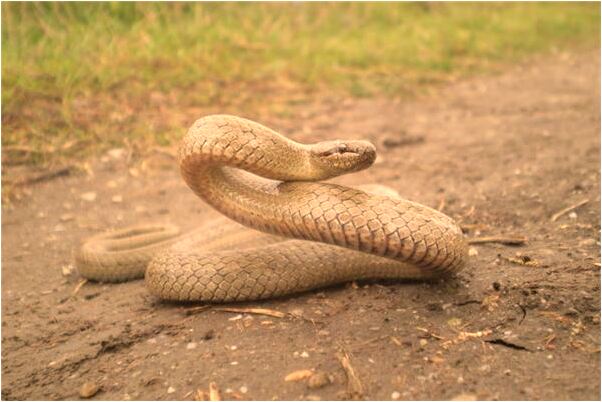 夢到了自己被凍住是咋回事_周公解夢官網