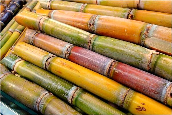 夢到了拉出來一條彩色的蛇是什麼意思？_周公解夢官網