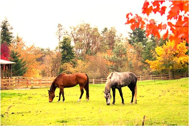 夢到了比人打啥意思_周公解夢官網