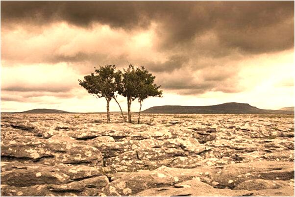 夢到了夢磨菜刀是好是壞_周公解夢官網