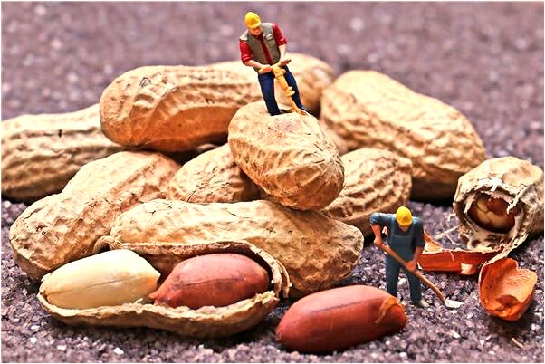 夢到第一次去嫖娼是啥意思_周公解夢官網