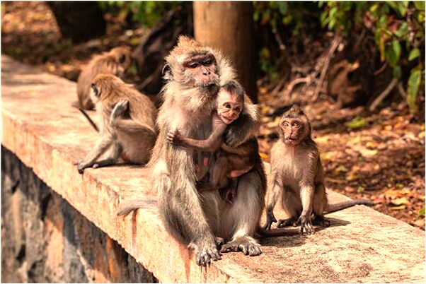 夢到了畢業照上有個女的對我冷笑是凶兆還是吉兆_周公解夢官網