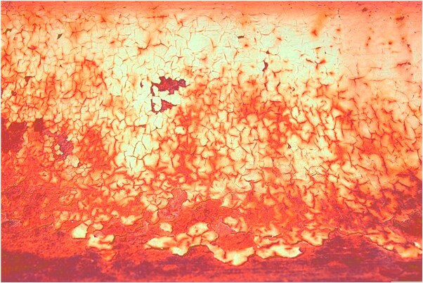 夢到了為金錢在大街做愛是啥意思_周公解夢官網