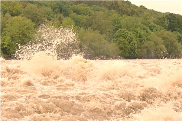 夢到姐姐生出來一半小孩怎么說_周公解夢官網