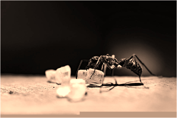 夢到了眼睛周圍起泡怎么回事_周公解夢官網