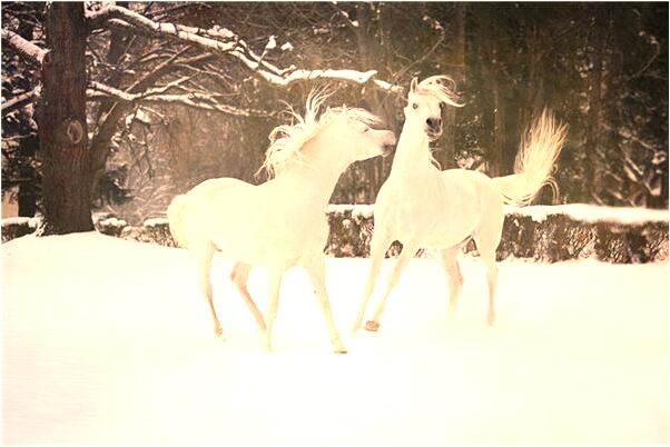 夢見涉水爬坡代表什麼_周公解夢官網