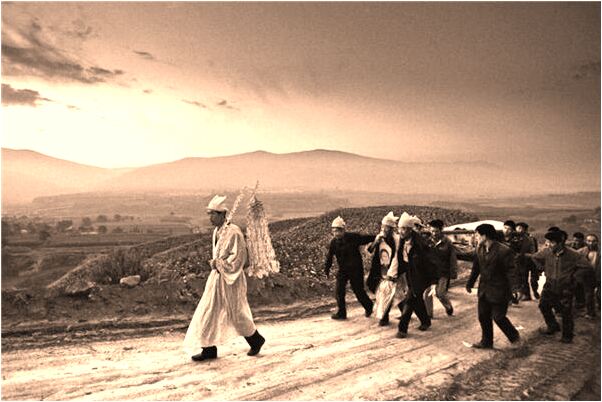 夢到了自己在郵輪上是什麼徵兆_周公解夢官網