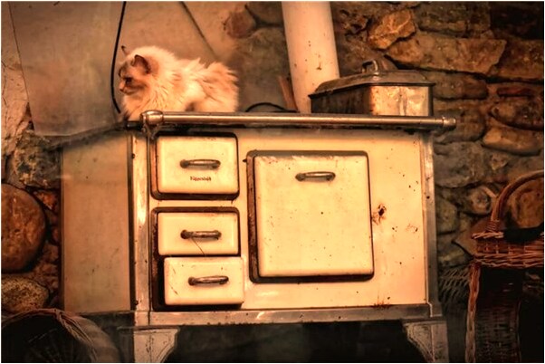 夢到床變魚缸是凶兆還是吉兆_周公解夢官網