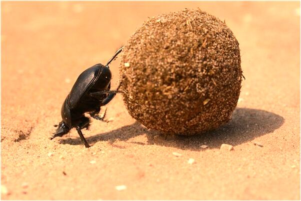 夢見跟心愛的男人做愛代表著什麼_周公解夢官網