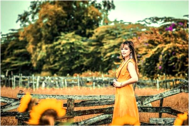 夢見飛機投下炮彈轟炸預兆了什麼嗎_周公解夢官網