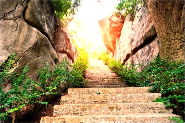 夢到了坐嬰兒車有什麼意思嗎_周公解夢官網