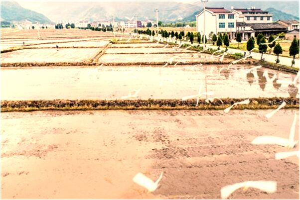 夢到被人砍了數刀是什麼意思_周公解夢官網