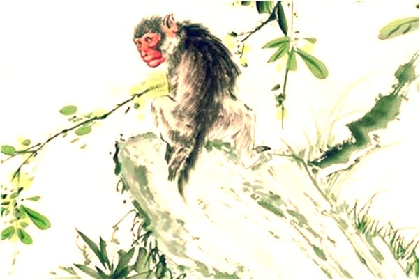 夢到了前妻的衣物已經打包是啥意思_周公解夢官網