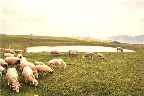 夢到了男人撿到許多金飾是什麼徵兆_周公解夢官網