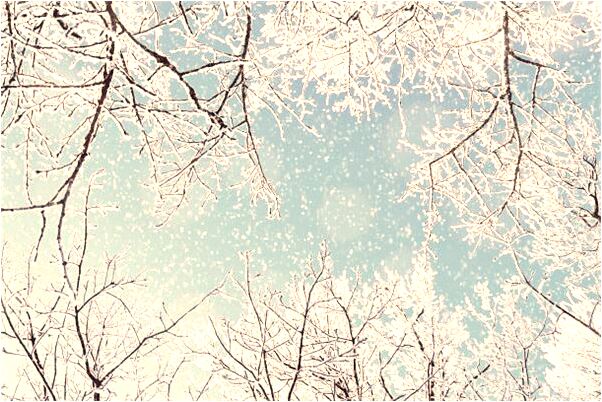 夢到被人偷手機是什麼預兆？_周公解夢官網