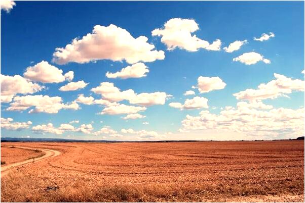 夢見自家交通事故的解決意味著什麼_周公解夢官網