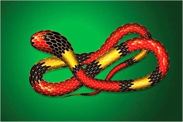 夢見和弟弟哥哥一起洗澡是啥預兆_周公解夢官網