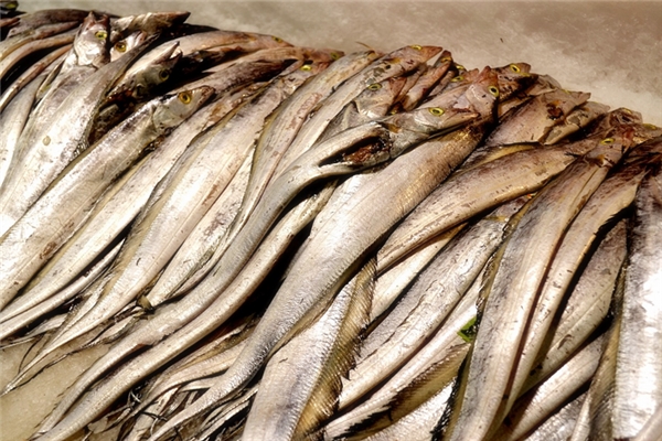 夢到死帶魚是什麼徵兆_周公解夢