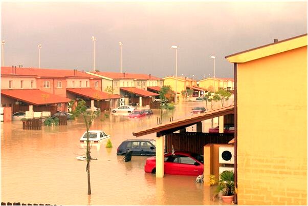 夢到車和豬是好的徵兆嗎_周公解夢官網