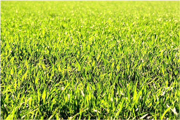 夢到加班到凌晨有什麼寓意嗎_周公解夢官網