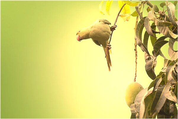 夢到已經長大了上班了會怎么樣_周公解夢官網