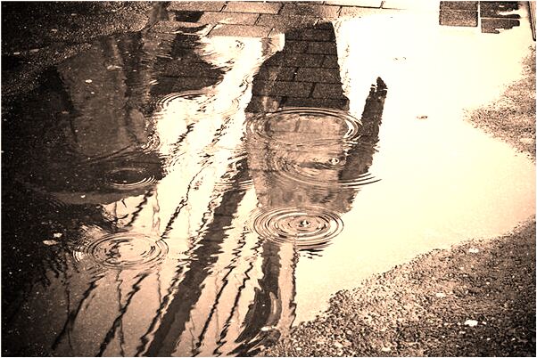 夢到了抱著大黃狼狗會怎么樣_周公解夢官網