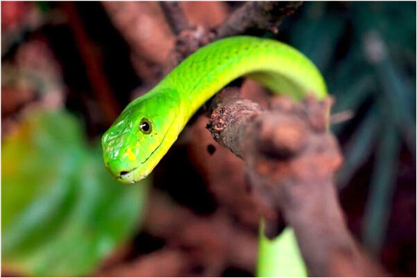 夢到撿到別人扔掉的衣服是什麼徵兆_周公解夢官網