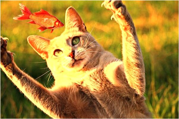 夢見一個人向我招手是什麼預兆_周公解夢官網