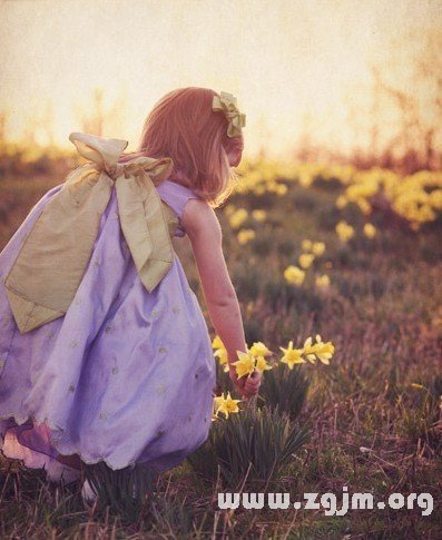 一定要寵的星座女人_十二星座