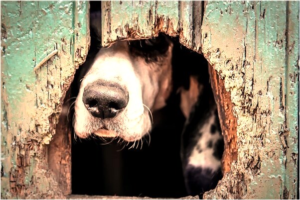 夢見自己和兩個同性做愛是什麼預兆？_周公解夢官網