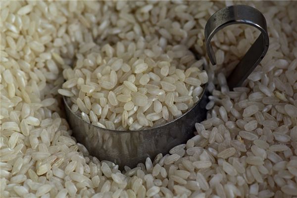 夢見米蟲_周公解夢