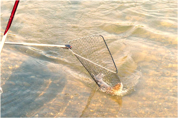 夢到了還和別的男人上床會怎么樣_周公解夢官網