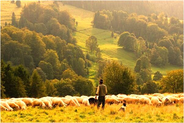 夢到自家廁所到處大便會怎么樣_周公解夢官網