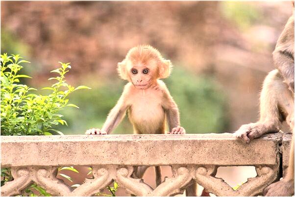 夢到了自己吐得好噁心怎么說_周公解夢官網