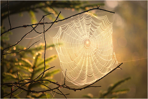 夢到了死去的親人給買房意味著什麼_周公解夢官網