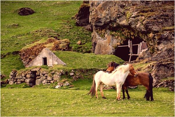 夢到女同學結婚是凶兆還是吉兆_周公解夢官網