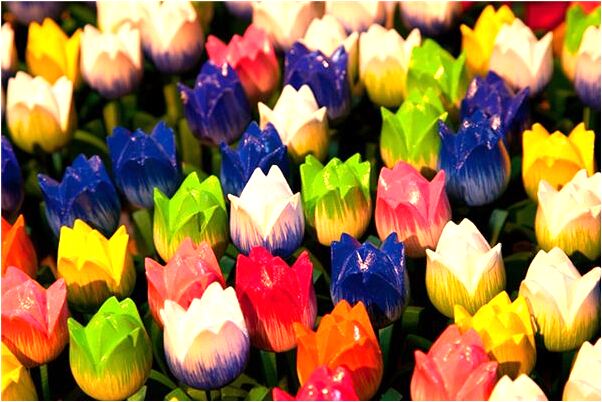 夢見很多大鯉魚困淺水是凶兆還是吉兆_周公解夢官網