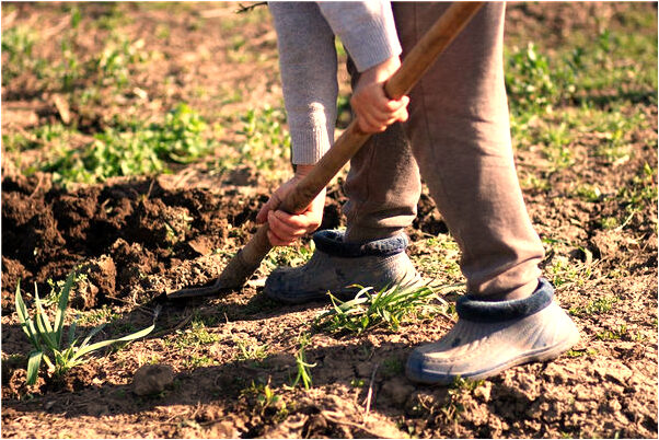 夢到前男友被一個女喪屍殺了有什麼意思_周公解夢官網