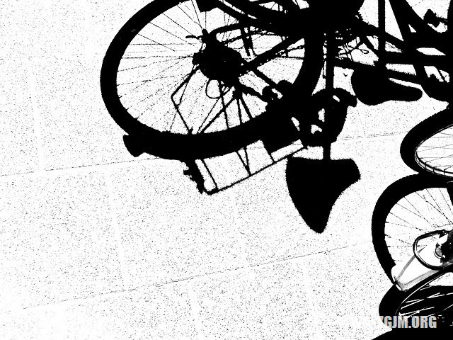 夢見貓爬到自己身上_周公解夢夢到貓爬到自己身上是什麼意思_做夢夢見貓爬到自己身上好不好_周公解夢官網