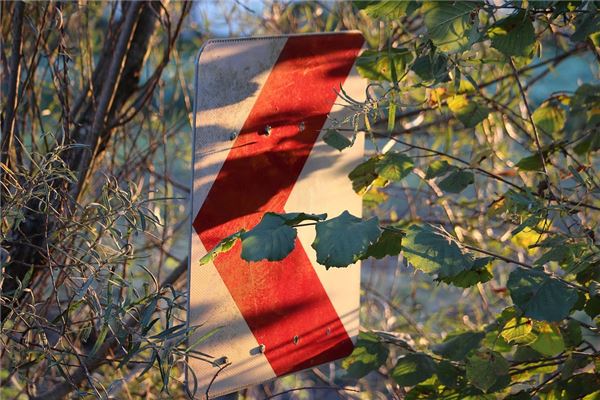 夢見指路_周公解夢