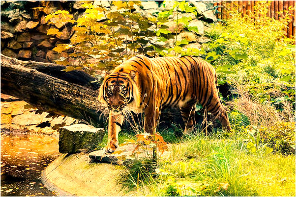 夢見工地機器挖到死人有什麼意思_周公解夢官網