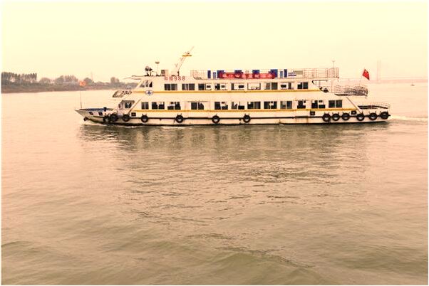 夢見領養了一隻退役警犬有什麼說法_周公解夢官網