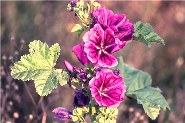 夢見讀書後出來就走錯路了是咋回事_周公解夢官網