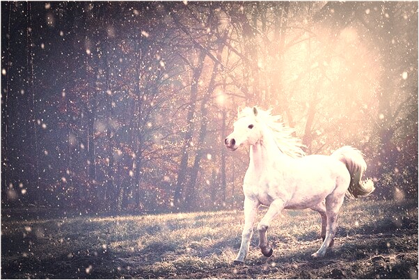 夢到孩子房頂跳下去沒事會怎么樣_周公解夢官網